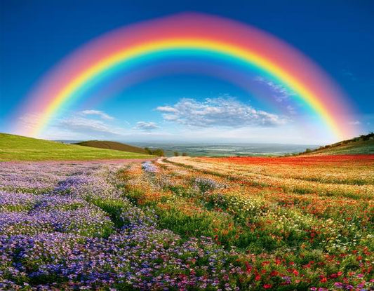 Teresa's Rainbow 40